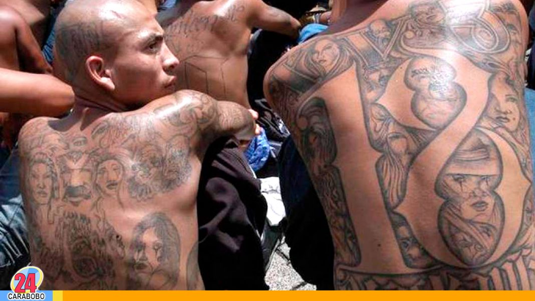 Pandillas de El Salvador - Pandillas de El Salvador