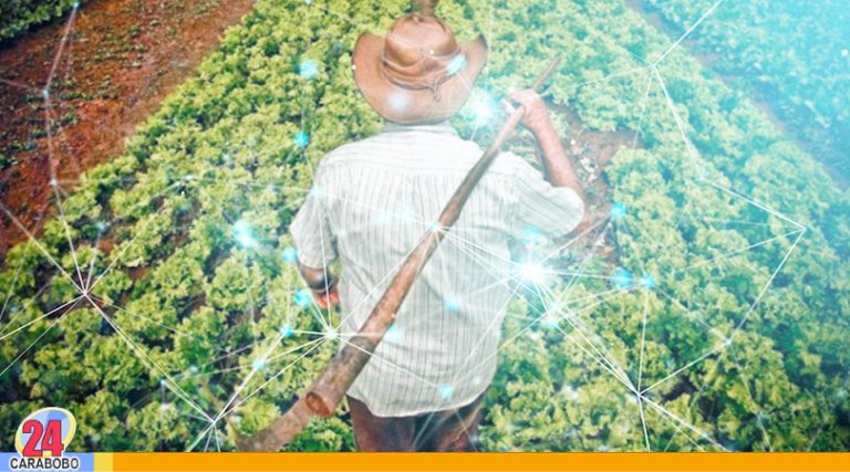 Nuevos proyectos blockchain se unen a la agricultura en Brasil