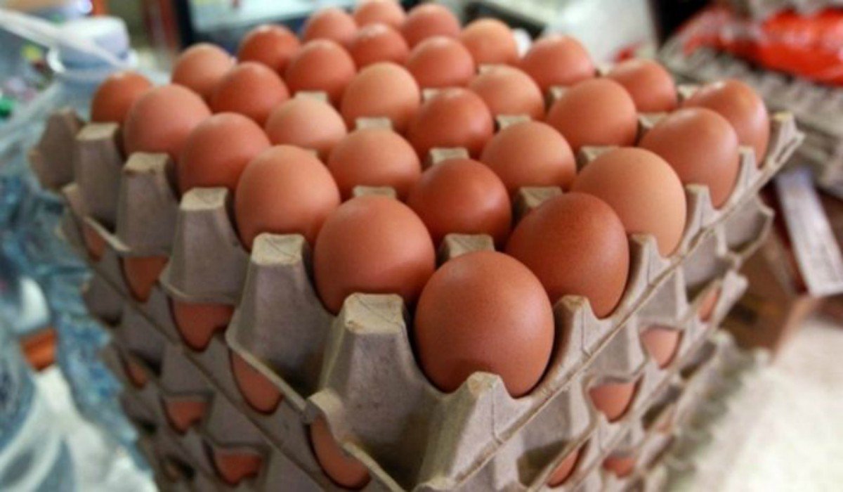 Precio del cartón de huevos - Precio del cartón de huevos