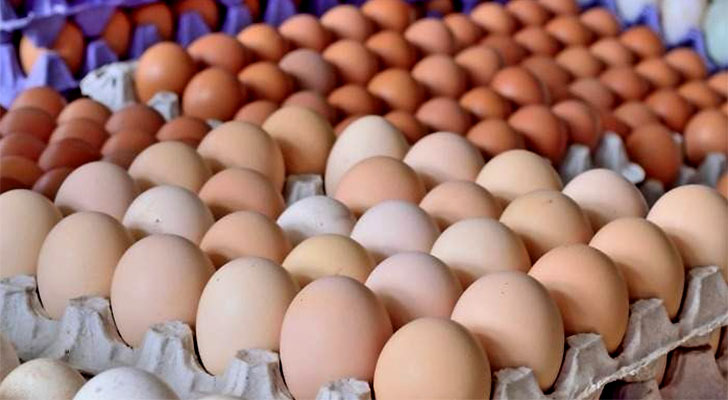 Nuevo precio del cartón de huevos asusta a los venezolanos