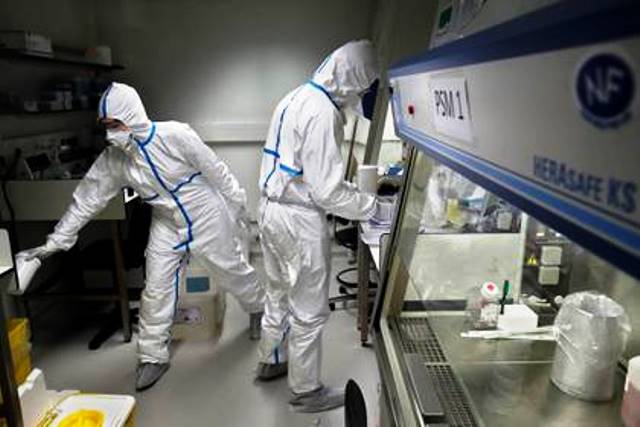 Expertos en Europa estimaron de «riesgo bajo» al coronavirus