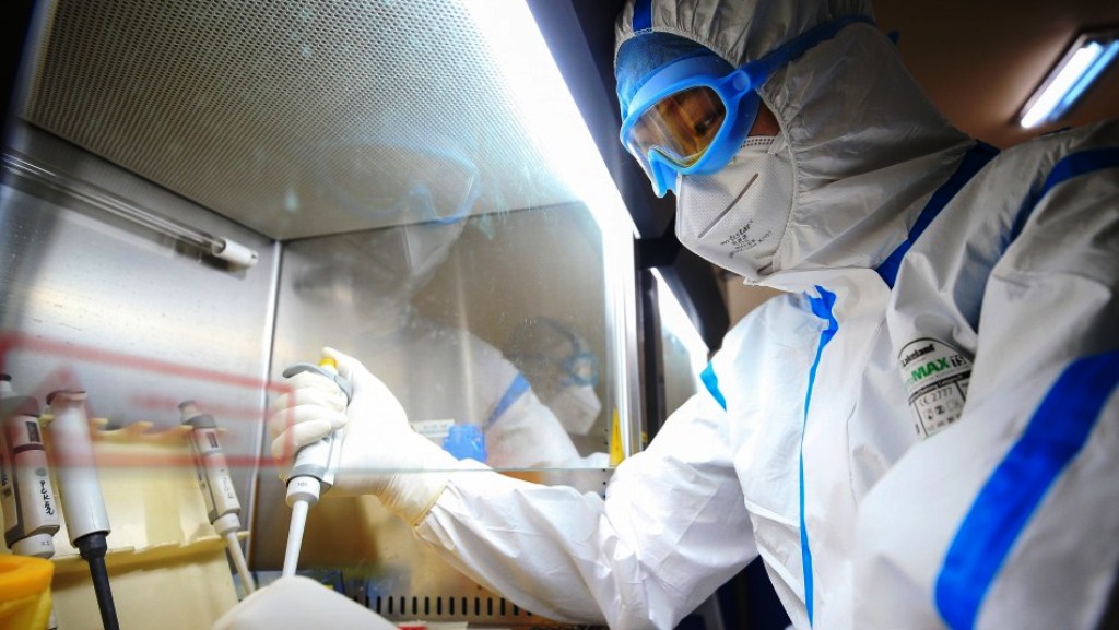 Nueva cepa de gripe porcina - noticias24 Carabobo