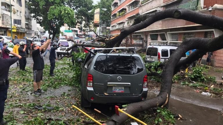 Vientos huracanados y lluvias en Caracas dejaron árboles caídos