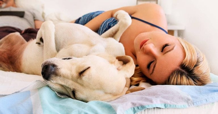 ¿Por qué tu perro quiere dormir contigo?