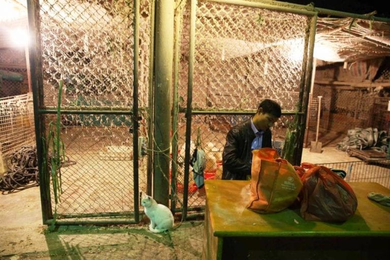 ¡Gradualmente! China cerrará mercados donde se vendan aves vivas