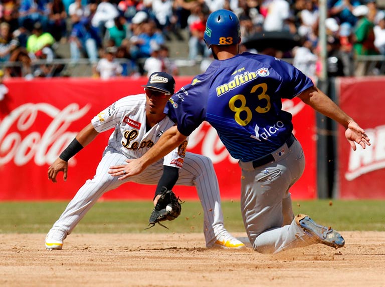 Temporada de béisbol en Venezuela no se jugará informó la LVBP