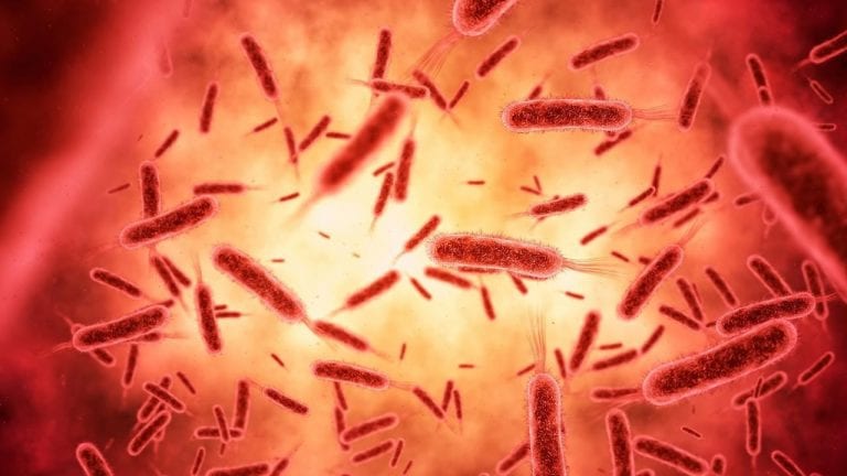 Bonyavirus reaparece en China y ocasiona siete muertes VÍDEO