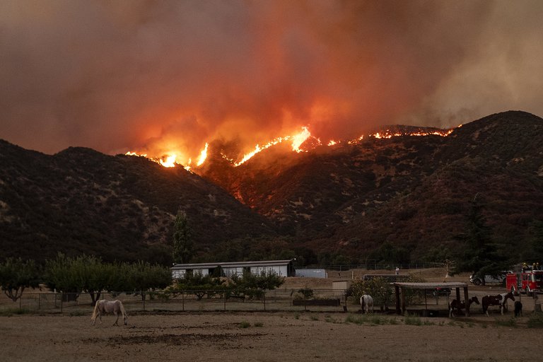 incendio forestal en California