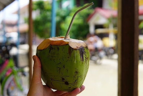 Propiedades del coco - Propiedades del coco
