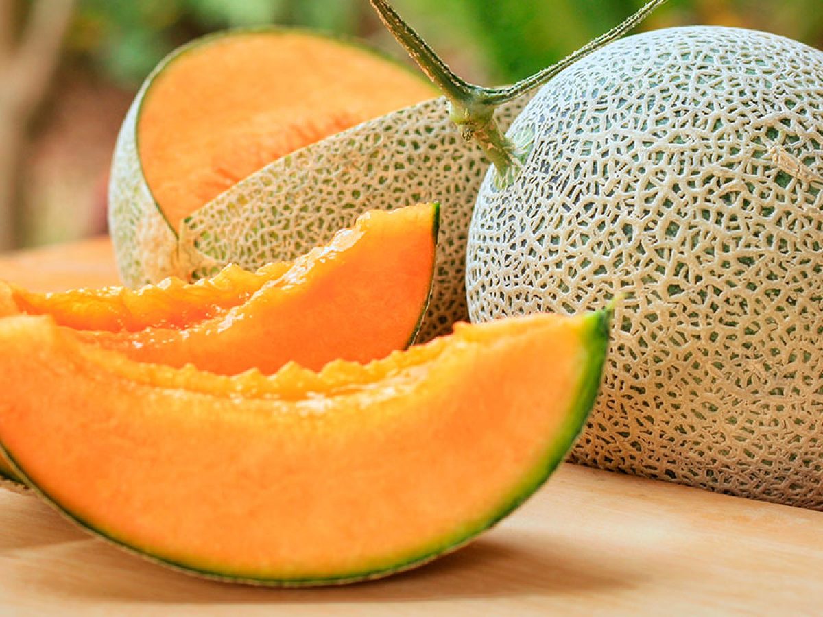 Beneficios del melón y sus propiedades, entérate aquí