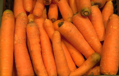 Propiedades de la zanahoria - Propiedades de la zanahoria