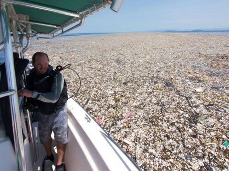 ¡Ecología! Lo letal del plástico para el mundo en general