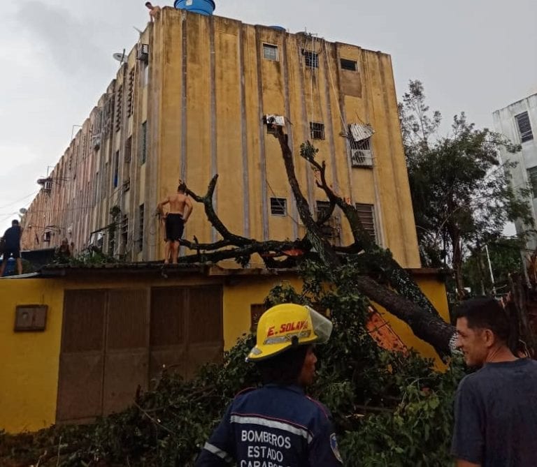 Lluvias en La Isabelica y Sur de Valencia dejó árboles y postes caídos