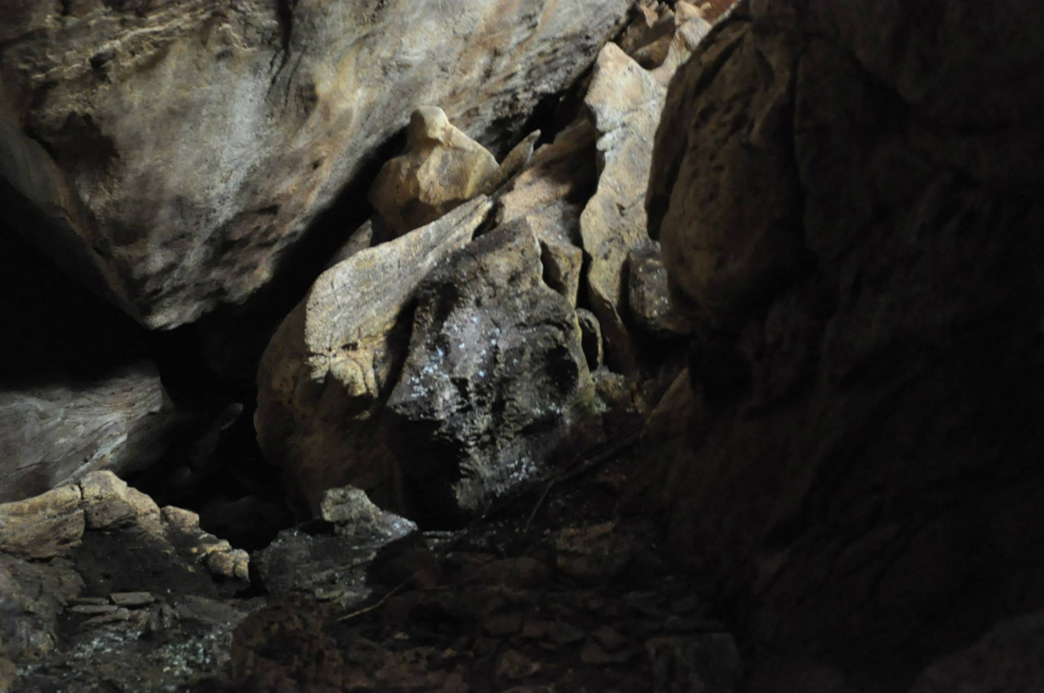 Las Cuevas de Meléndez - Las Cuevas de Meléndez