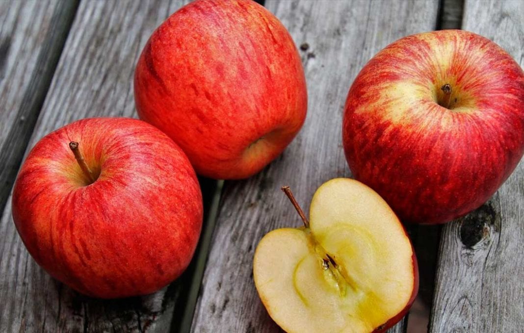 beneficios manzana organismo - beneficios manzana organismo
