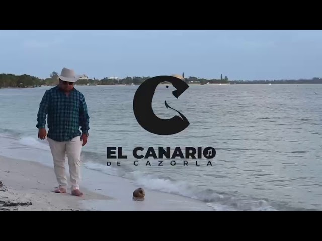 El Canario de Cazorla deja en alto la música venezolana