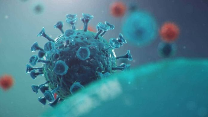 Sudáfrica descubre nueva variante del coronavirus