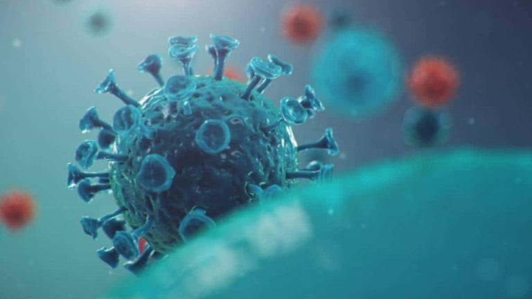¡Alerta! Sudáfrica descubre nueva variante del coronavirus
