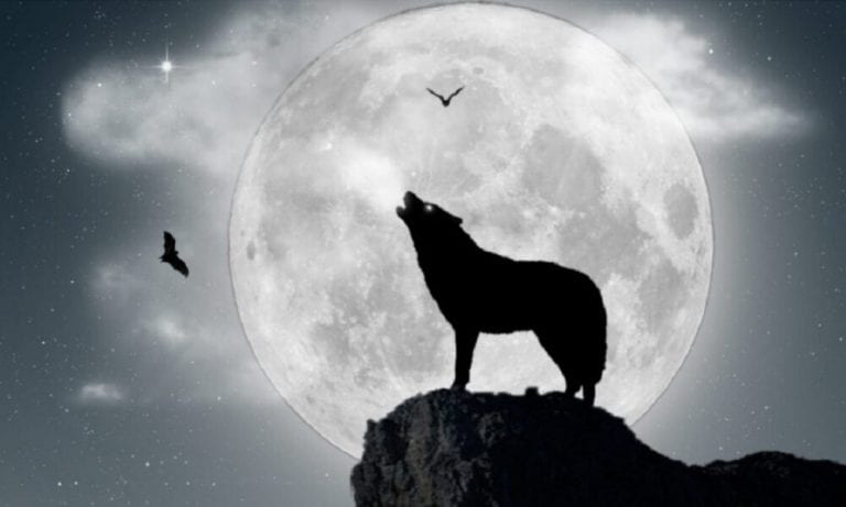 Aficionados podrán disfrutar de la “Luna de lobo” este jueves 28-E