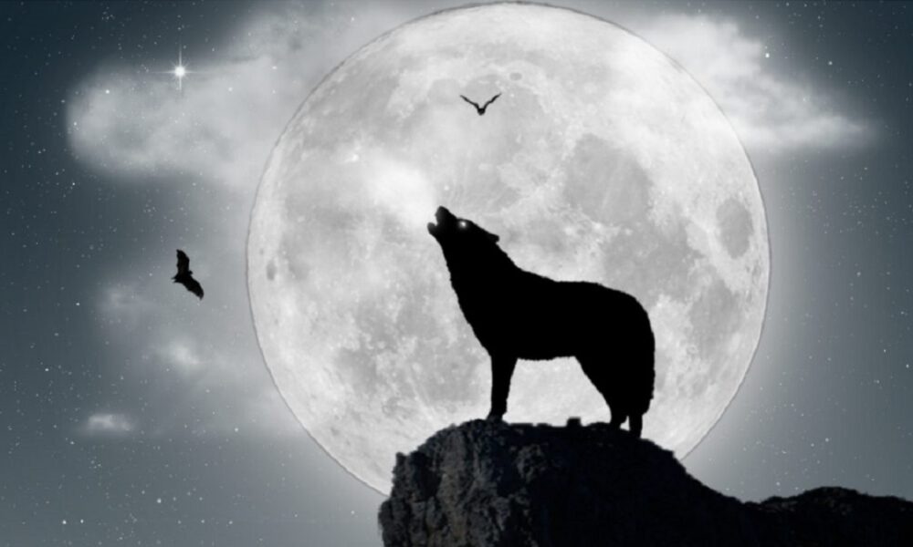 “Luna de Lobo” - “Luna de Lobo”
