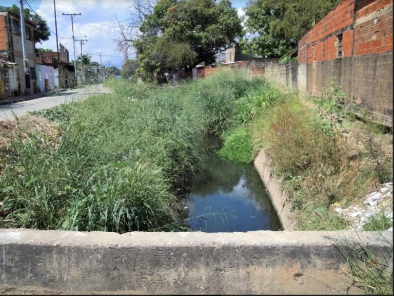 Vecinos piden limpieza para el Canal de La Bocaína al sur de Valencia