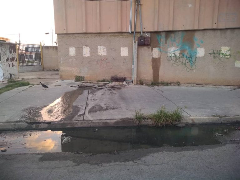 Vecinos exigen el arreglo de botes de aguas negras al sur de Valencia