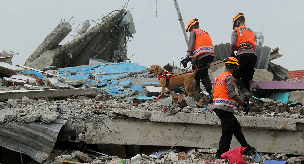 73 muertos y 826 heridos terremoto Indonesia - 73 muertos y 826 heridos terremoto Indonesia