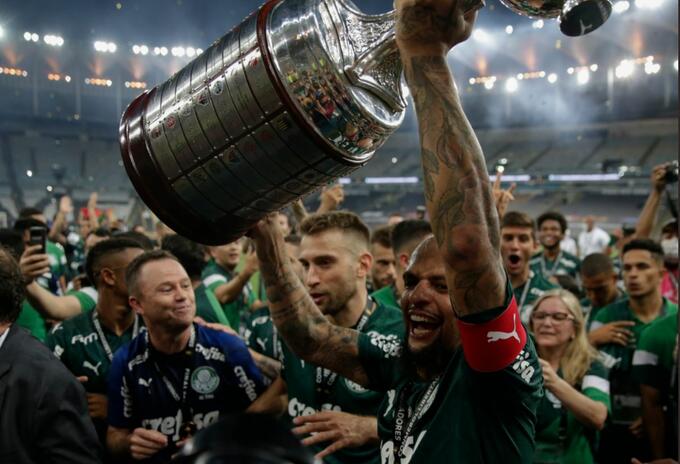 Palmeiras campeón - Palmeiras campeón