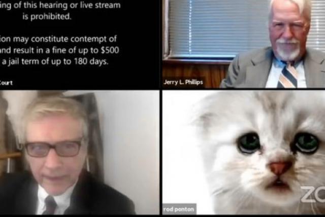 «No soy un gato», abogado se volvió viral gracias a filtro de Zoom