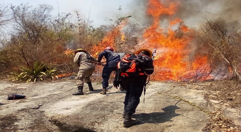 Inparques advierte que están sin equipos para sofocar incendios forestales