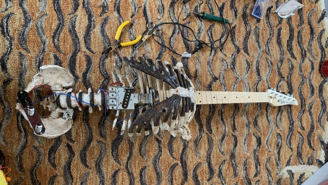guitarra eléctrica con un esqueleto - guitarra eléctrica con un esqueleto