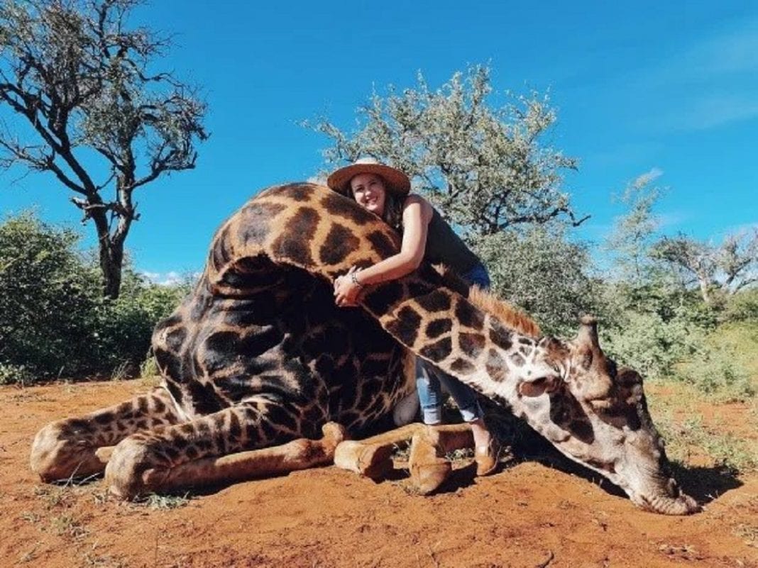 Mujer cazó a una jirafa - Mujer cazó a una jirafa