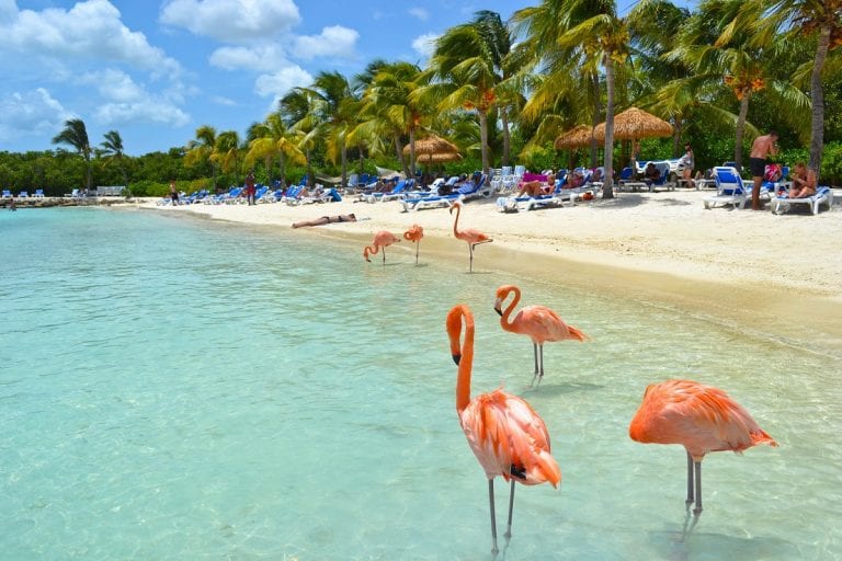 Vuelos a Aruba seguirán prohibidos hasta el mes de junio