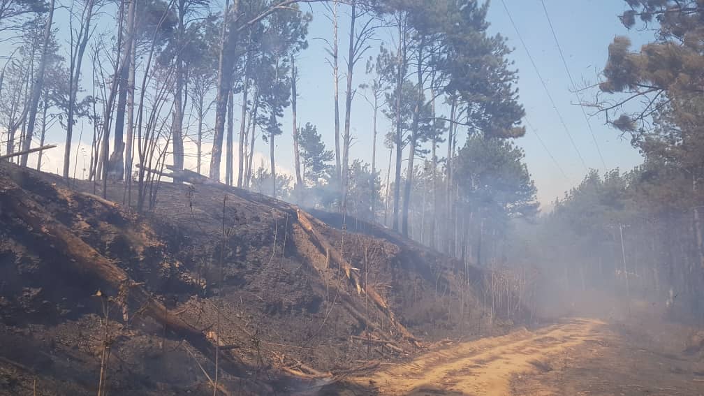 Incendios forestales en Carabobo - Incendios forestales en Carabobo