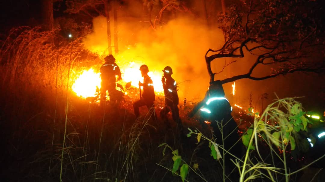Incendios forestales en Carabobo - Incendios forestales en Carabobo