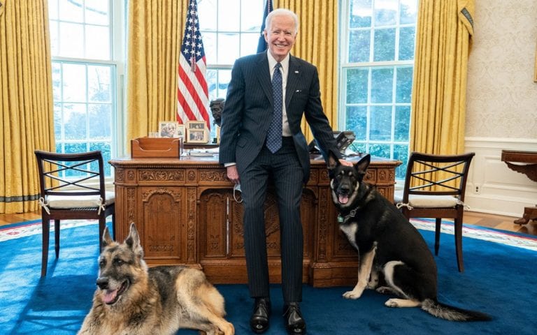¡Mordida! Perros de Joe Biden se marcharon de La Casa Blanca