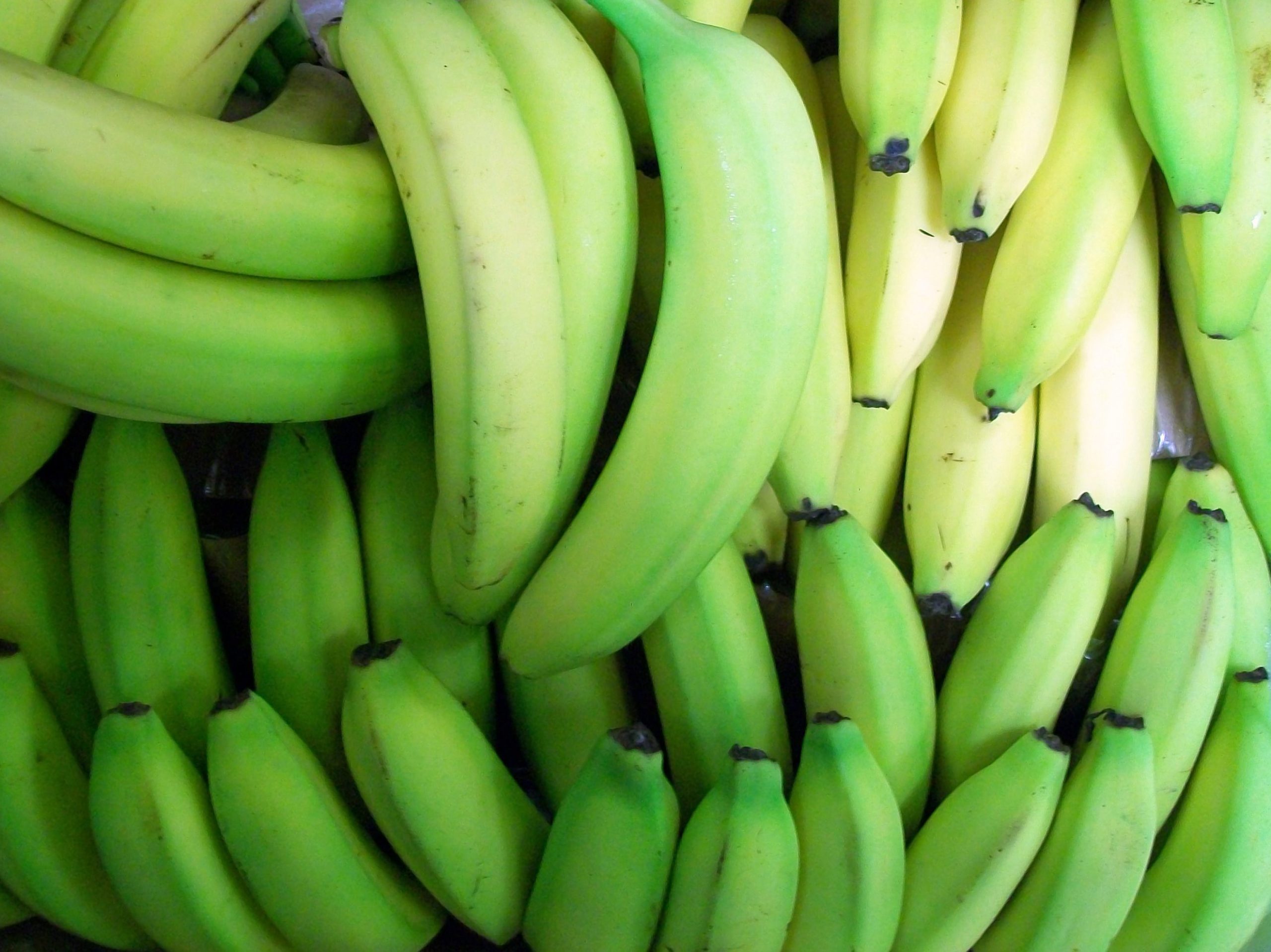 Beneficios del plátano verde - Beneficios del plátano verde