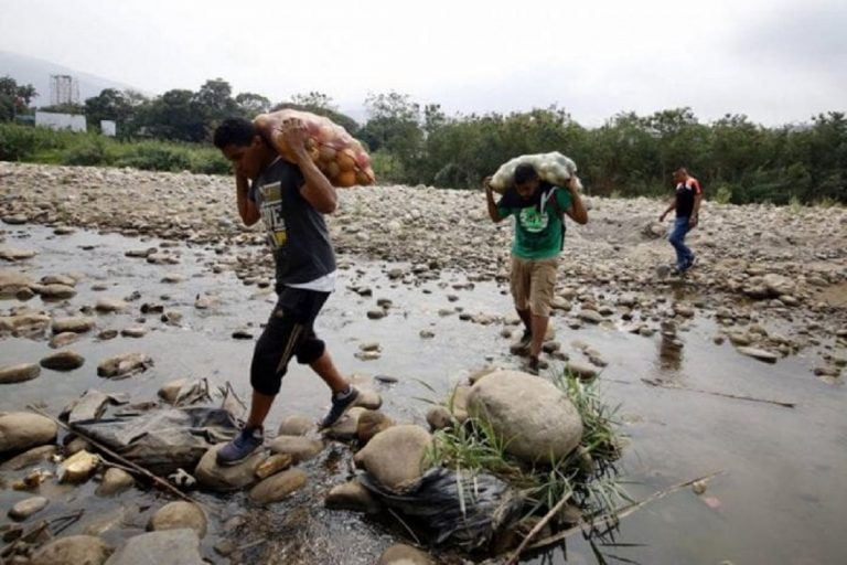 Se han registrado 113 combates armados en frontera con Colombia, según Fundaredes