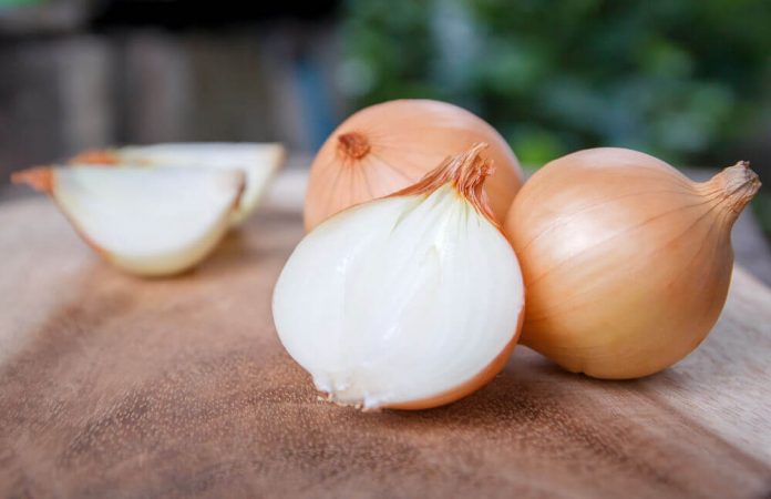 Beneficios de la cebolla - Beneficios de la cebolla