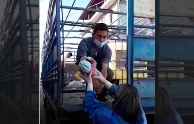 ¡Increíble! Una mujer dio a luz en un camión para transportar ganado en Tucupido