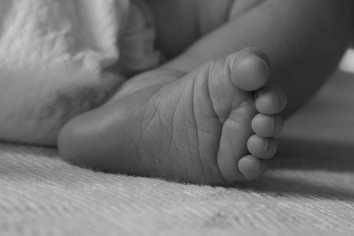 Hallan cadáver de bebé recién nacido en La Bocaina, Valencia