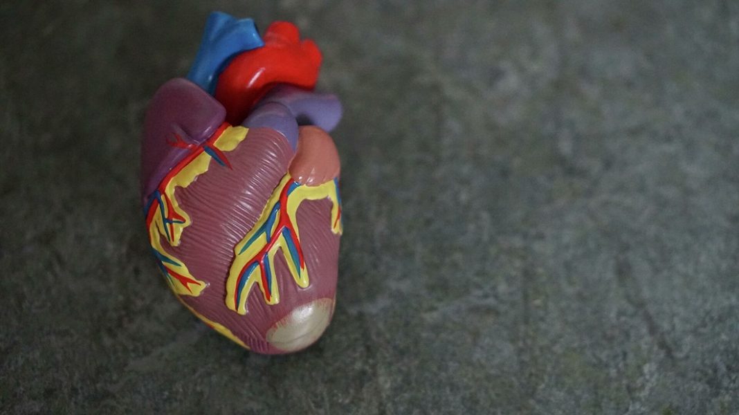 corazón artificial