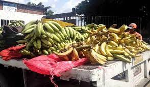 Precio de los plátanos - Precio de los plátanos