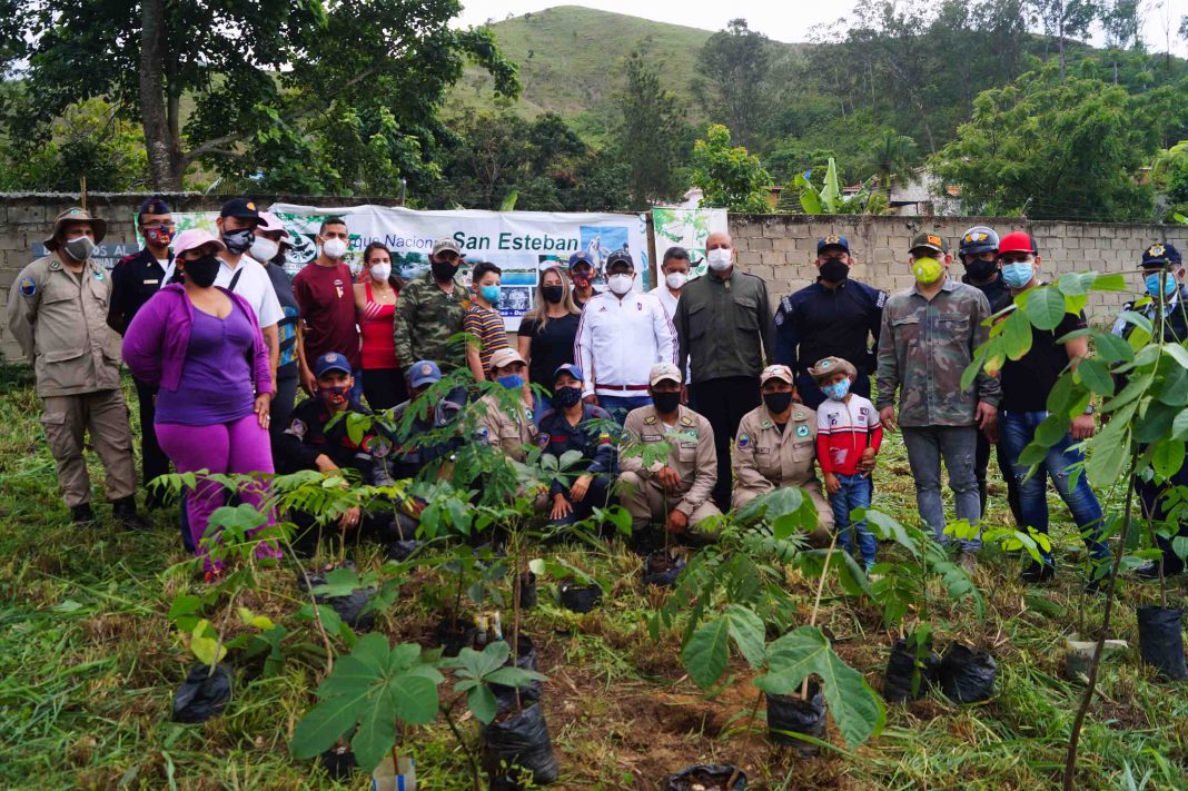 Sembraron 200 árboles en Parque Nacional San Esteban