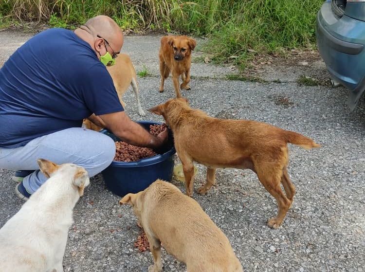 Unidos Cambiando Vidas, la labor social del rescate de perros en Maracay