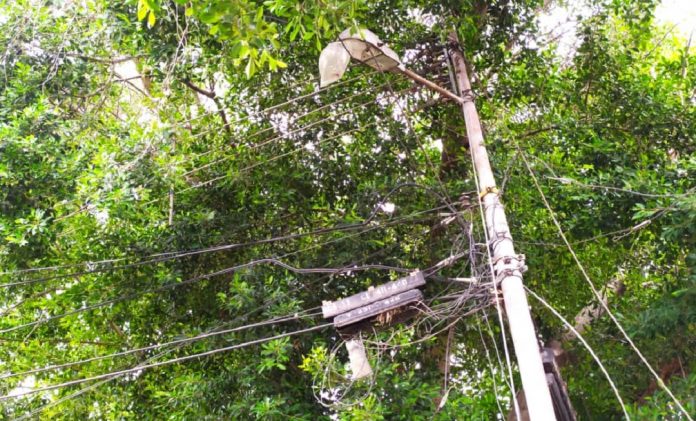 Tendido eléctrico amenaza las casas de La Isabelica