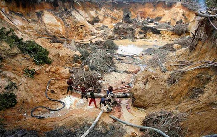 Organizaciones indígenas denunciaron la presencia de mineros brasileños
