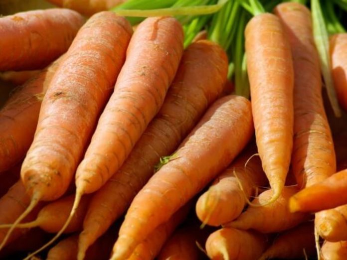 Zanahoria - Zanahoria