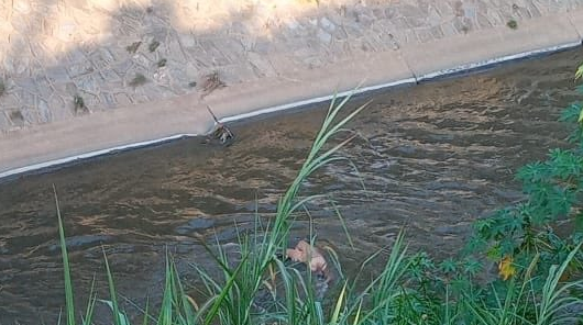 cadáver de una mujer en el río Guaire