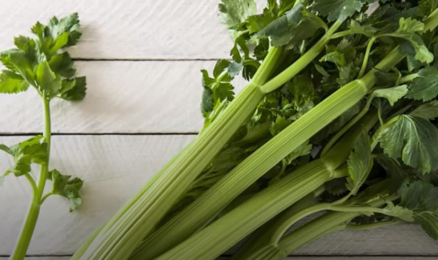 ¡Verde! Beneficios de consumir Apio España o Celery